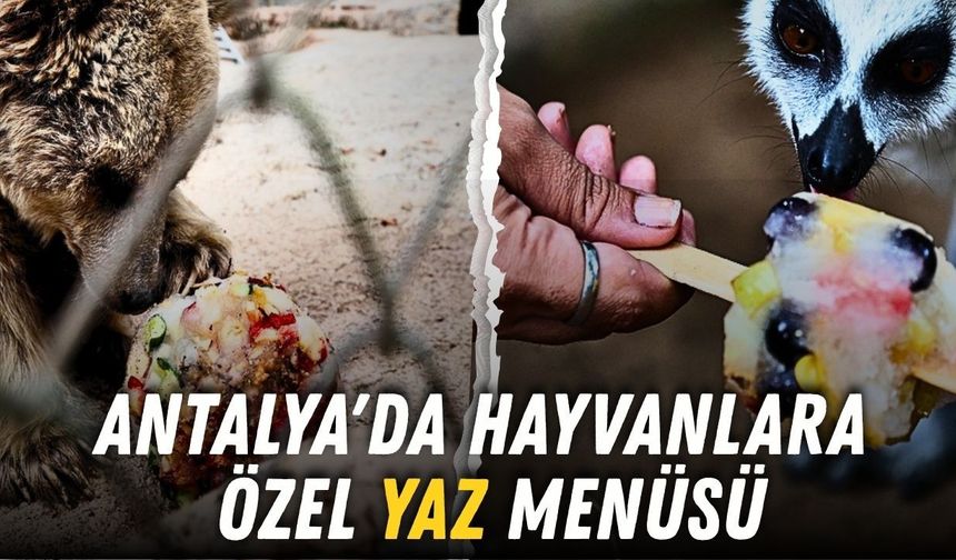 Antalya'da hayvanlara yaz dopingi: Buzlu meyve kokteyli