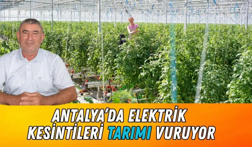 Antalya'da üretici isyanda! Elektrik kesintileri tarımı durma noktasına getirdi