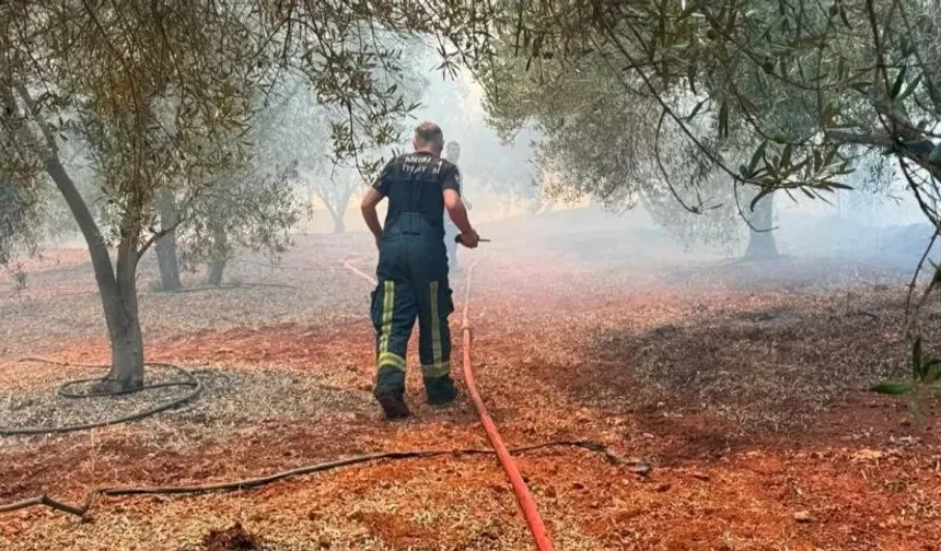Kepez Çamlıca’daki orman yangını 4 saatte kontrol altına alındı