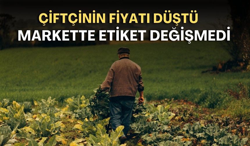 Çiftçinin fiyatı düştü, markette etiket değişmedi