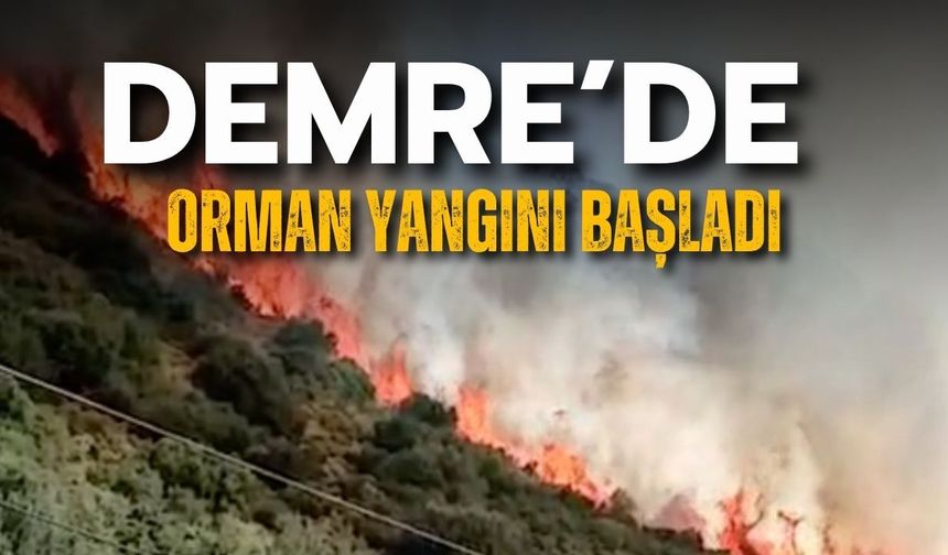 Antalya Demre’de orman yangını başladı