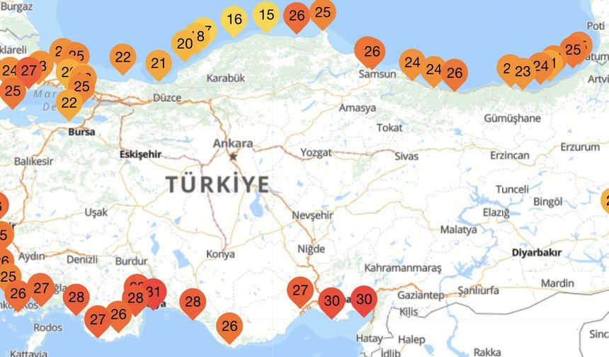 Antalya'da deniz suyu 31 dereceye çıktı: Uzmanlardan kritik uyarı!