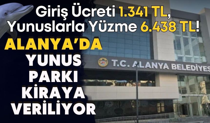 Giriş ücreti 1.341 TL, yunuslarla yüzme 6.438 TL! Alanya’da Yunus Parkı kiraya veriliyor