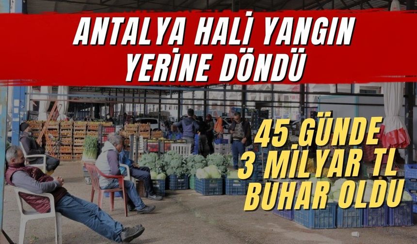 Antalya hali yangın yerine döndü: 45 günde 3 milyar TL buhar oldu