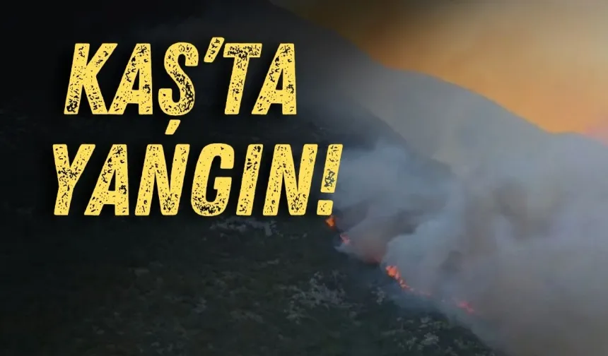 Antalya'da orman yangını! Kaş'ta alevlere havadan ve karadan müdahale