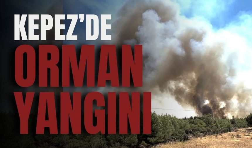 Kepez’de büyük orman yangını başladı