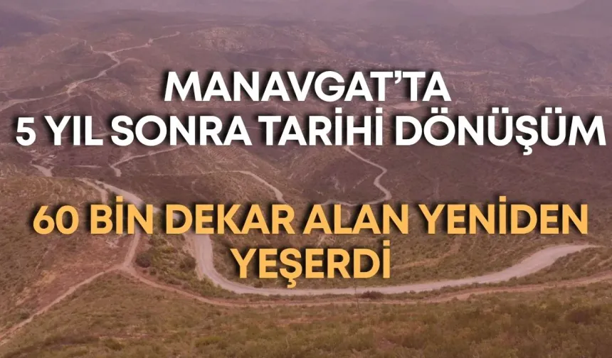 Manavgat’ta 5 yıl sonra tarihi dönüşüm: 60 bin dekar alan yeniden yeşerdi