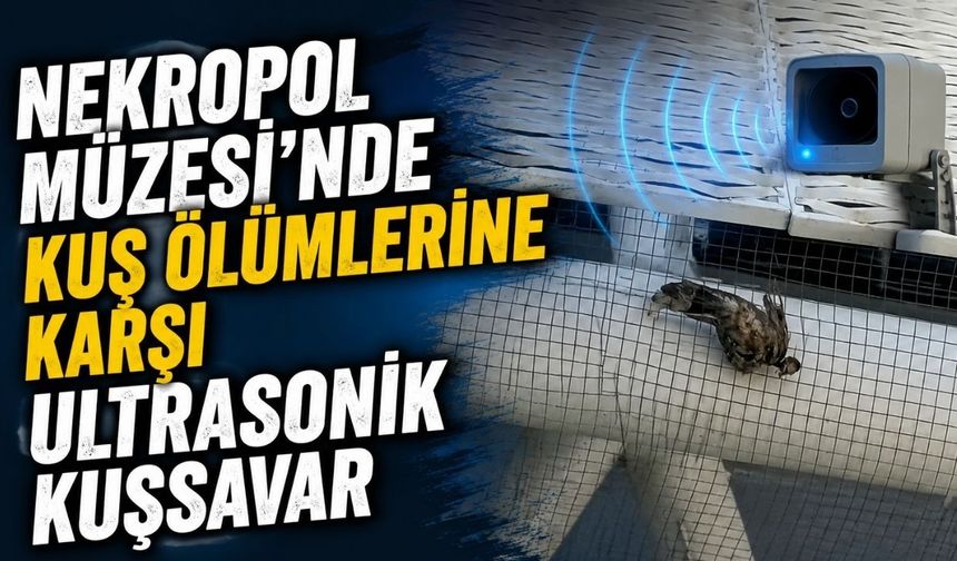Antalya Nekropol Müzesi'nde kuş ölümlerine karşı ultrasonik kuşsavar dönemi