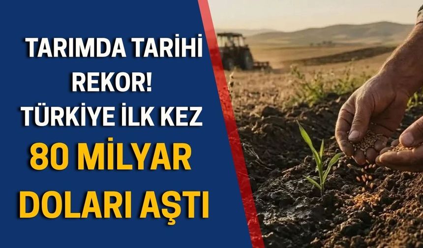 Tarımda tarihi rekor! Türkiye ilk kez 80 milyar doları aştı