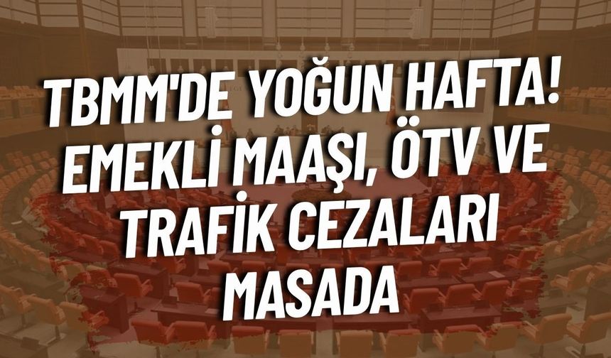 TBMM'de yoğun hafta! Emekli maaşı, ÖTV ve trafik cezaları masada