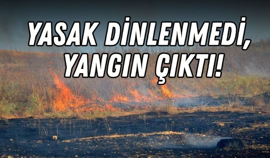 Antalya'da tarım arazisinde yangın! Felaket son anda önlendi