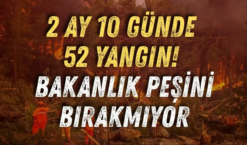 2 ay 10 günde 52 yangın! Bakanlık peşini bırakmıyor