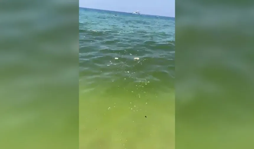 Alanya Damlataş Sahilinde denize dökülen pislik tepki çekti