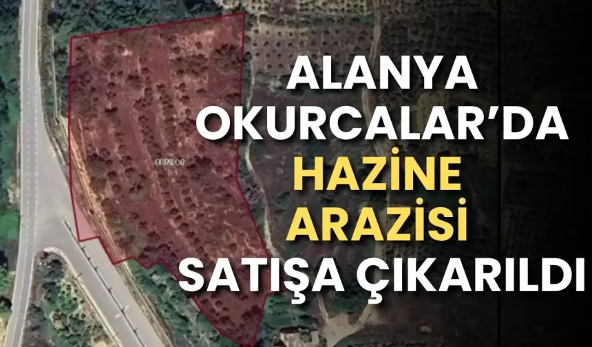 Alanya Okurcalar’da hazine arazisi satışa çıkarıldı