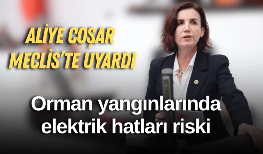 Aliye Coşar Meclis’te uyardı: Orman yangınlarında elektrik hatları riski