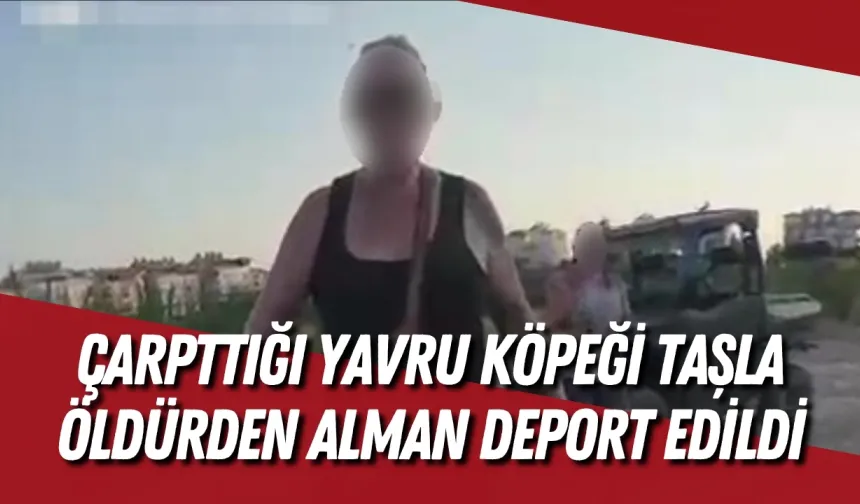 Çarpttığı yavru köpeği taşla öldürdüğü iddia edilen Alman deport edildi