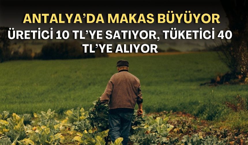 Antalya’da makas büyüyor! Üretici 10 TL’ye satıyor, tüketici 40 TL’ye alıyor!