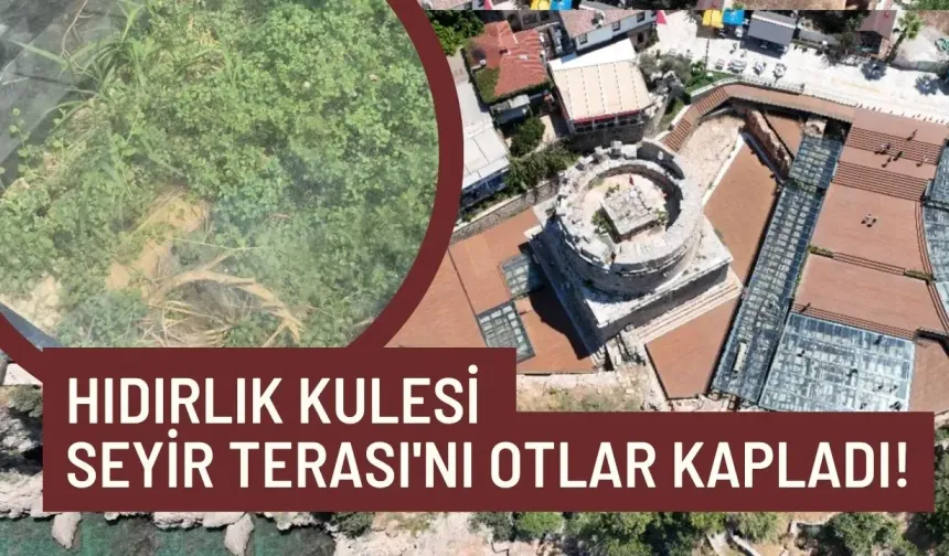 Antalya'da Hıdırlık Kulesi Seyir Terası'nı otlar kapladı!