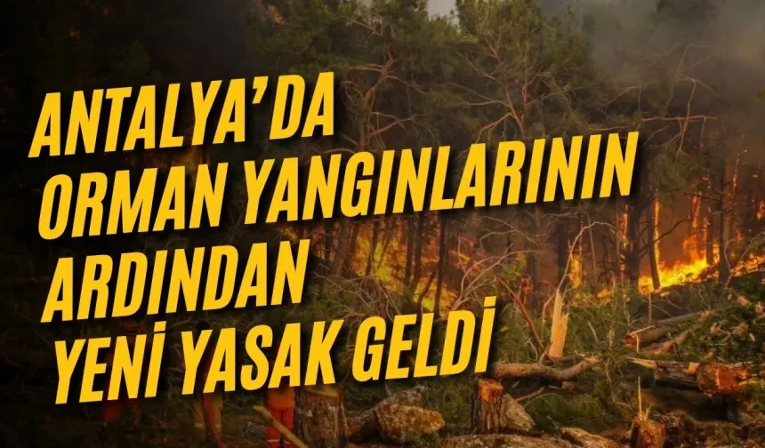 Antalya’da orman yangınlarının ardından yeni yasak geldi