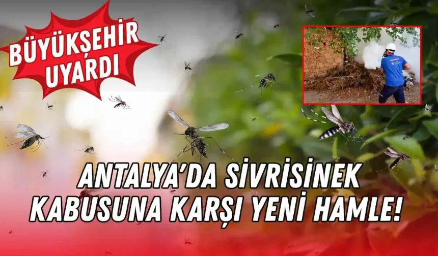 Antalya'da sivrisinek kabusuna karşı yeni hamle! Büyükşehir uyardı