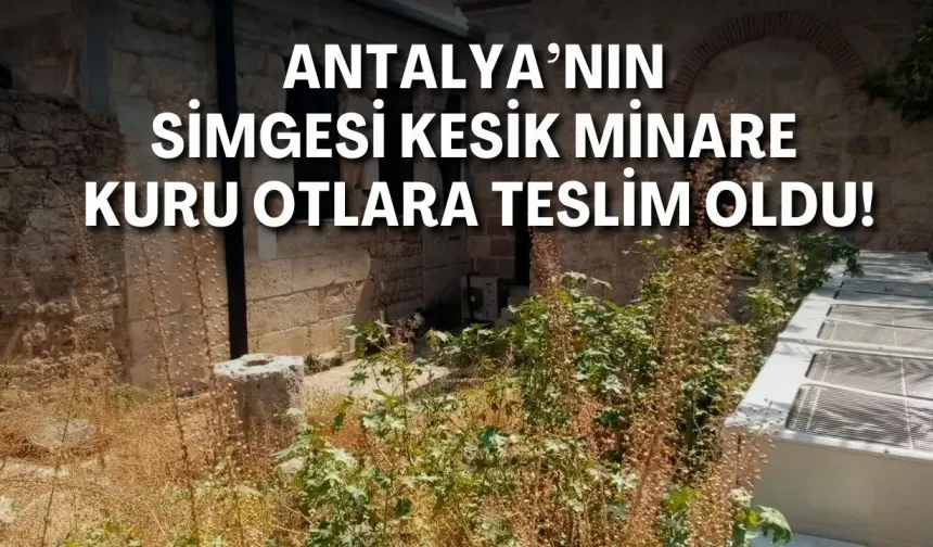 Antalya’nın simgesi Kesik Minare kuru otlara teslim oldu!
