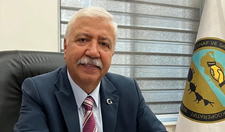 Antalya'da kooperatif davasında ilk duruşma: Başkan ifade verdi