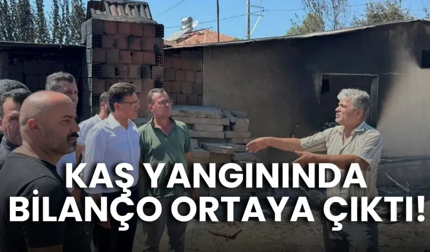 Kaş yangınında bilanço ortaya çıktı! Atay Uslu açıkladı