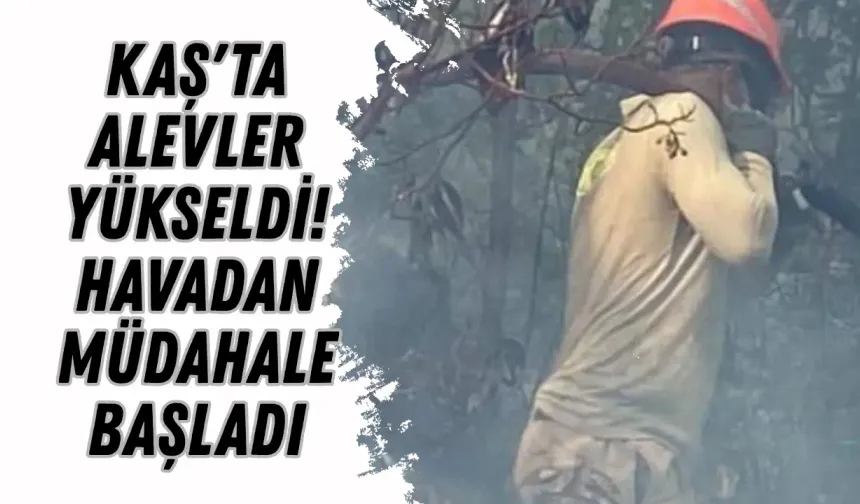 Kaş'ta alevler yükseldi! Havadan müdahale başladı