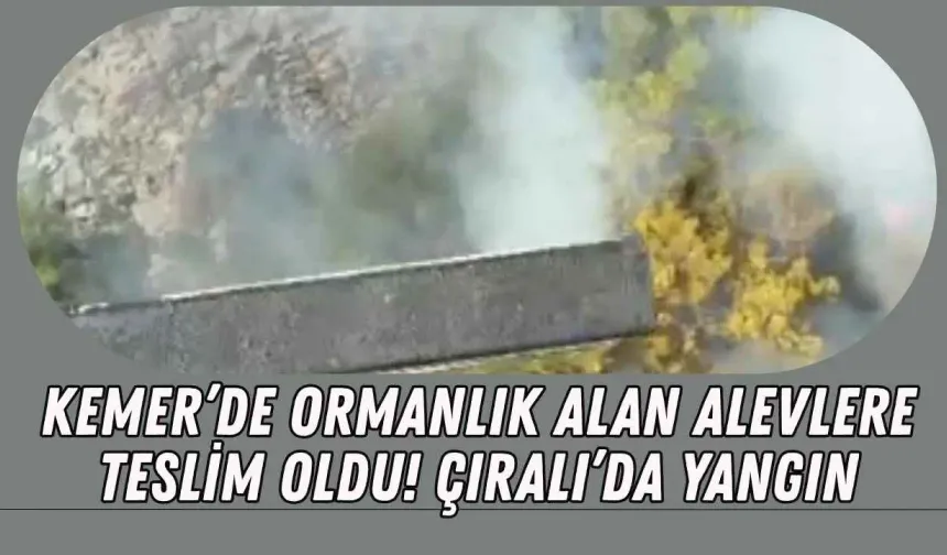 Kemer’de ormanlık alan alevlere teslim oldu! Çıralı’da yangın