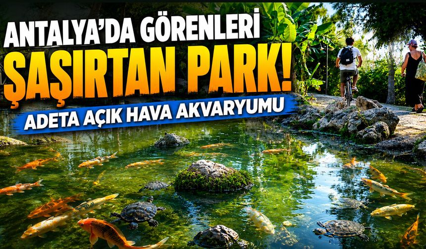 Antalya’da görenleri şaşırtan park! Adeta açık hava akvaryumu