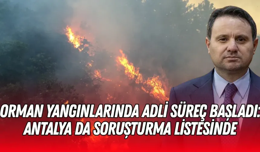 Orman yangınlarında adli süreç başladı: Antalya da soruşturma listesinde