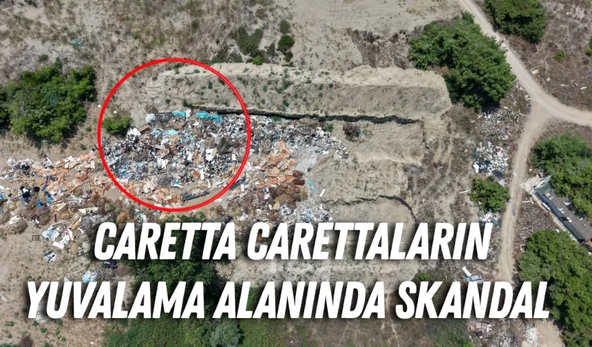 “Kaplumbağa Dostu” otelden caretta carettalara darbe! Sertifikası iptal edildi