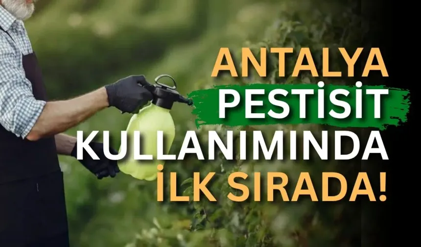 Antalya pestisit kullanımında ilk sırada!