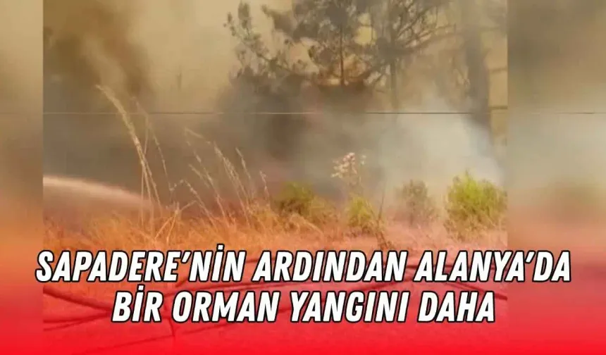Sapadere'nin ardından Alanya'da bir orman yangını daha