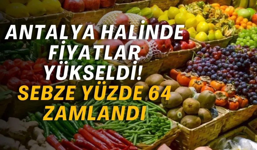 Antalya halinde fiyatlar yükseldi! Sebze yüzde 64 zamlandı