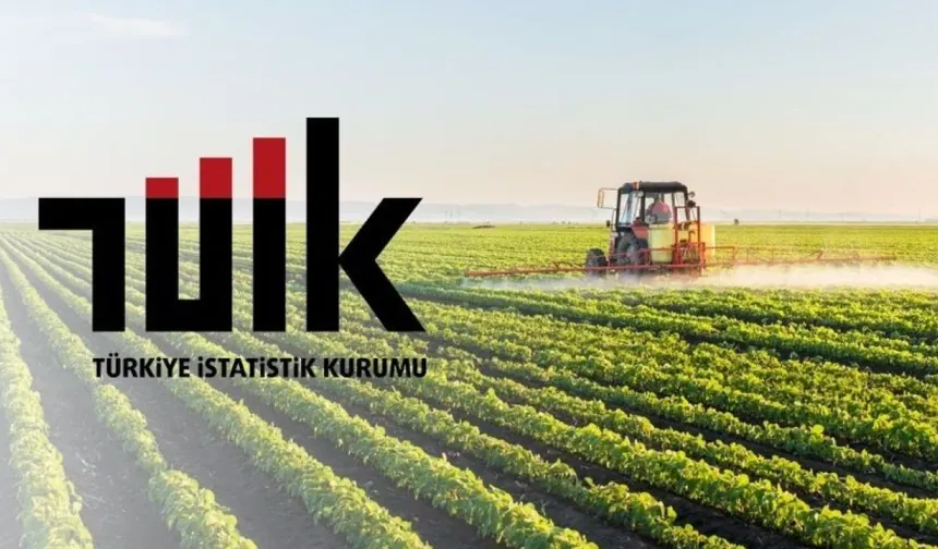 Tarımda maliyetler aylık geriledi, yıllık baskı sürüyor