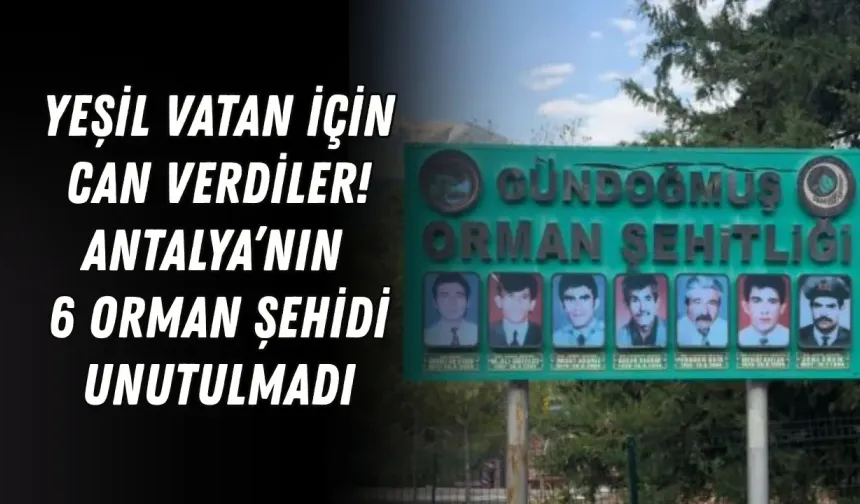 Yeşil vatan için can verdiler! Antalya’nın 6 orman şehidi unutulmadı