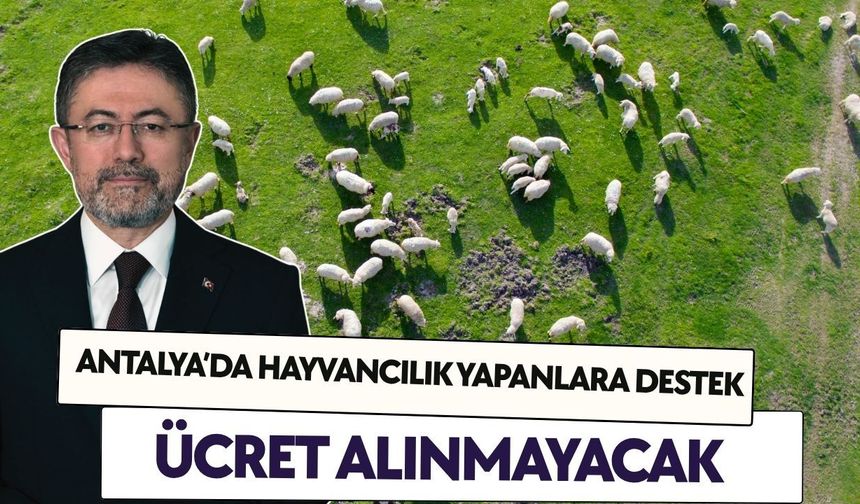 Antalya’da hayvancılık yapanlara nefes aldıracak destek: Ücret alınmayacak