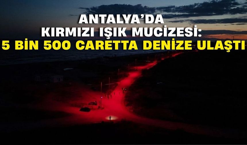 Antalya’da kırmızı ışık mucizesi: 5 bin 500 caretta denize ulaştı