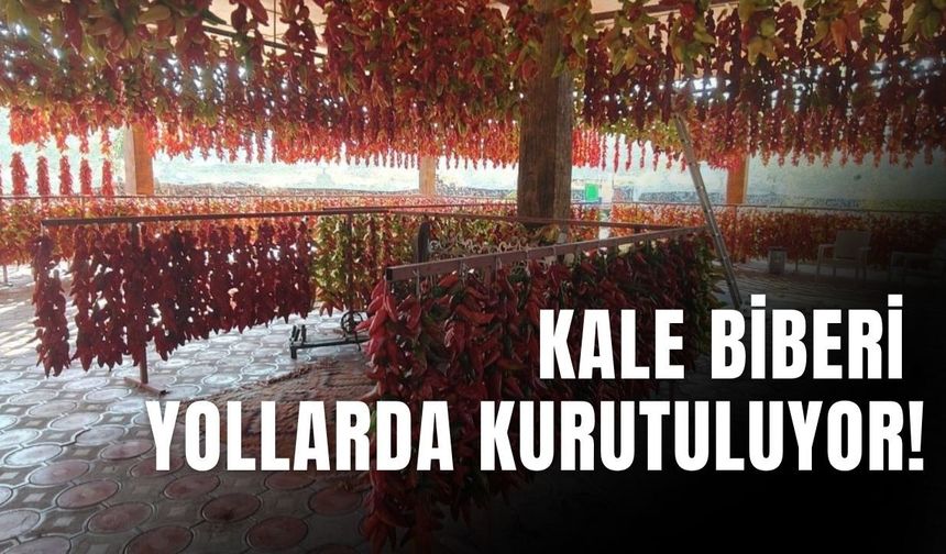Antalya’nın örtü altı üretimine rakip görüntü: Kale biberi yollarda kurutuluyor
