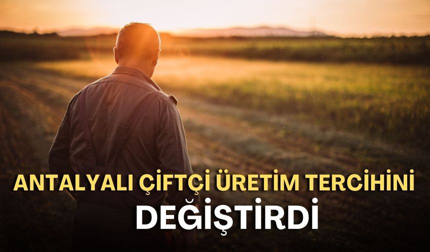 Antalyalı çiftçi üretim tercihini değiştirdi!