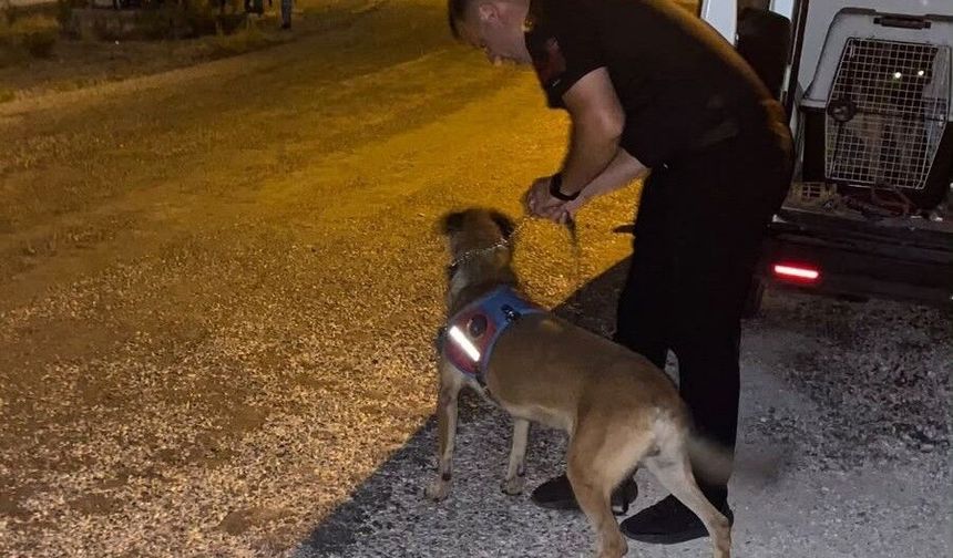 Manavgat’ta kayıp kadın, kadavra köpekleri ile aranıyor!