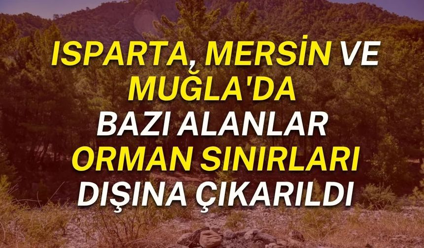 Isparta, Mersin ve Muğla'da bazı alanlar orman sınırları dışına çıkarıldı