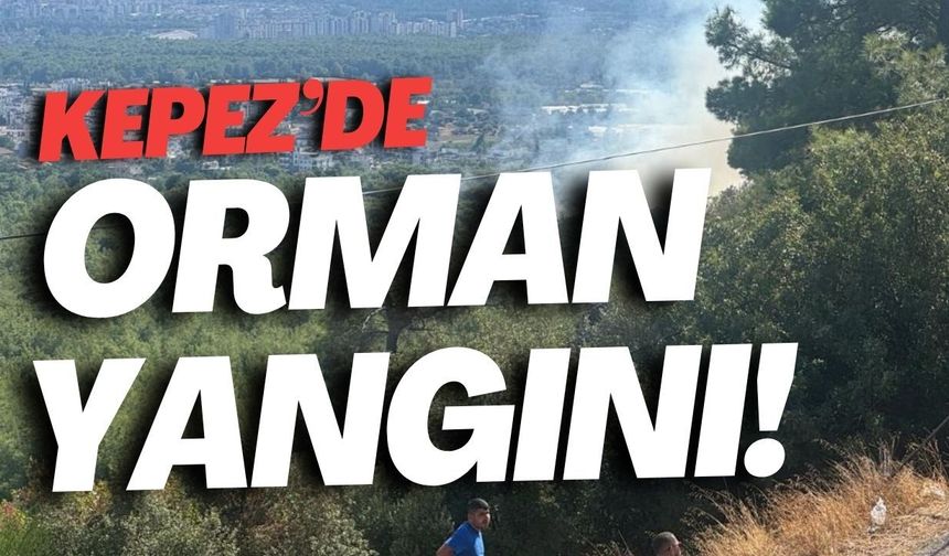 Kepez'de orman yangını!