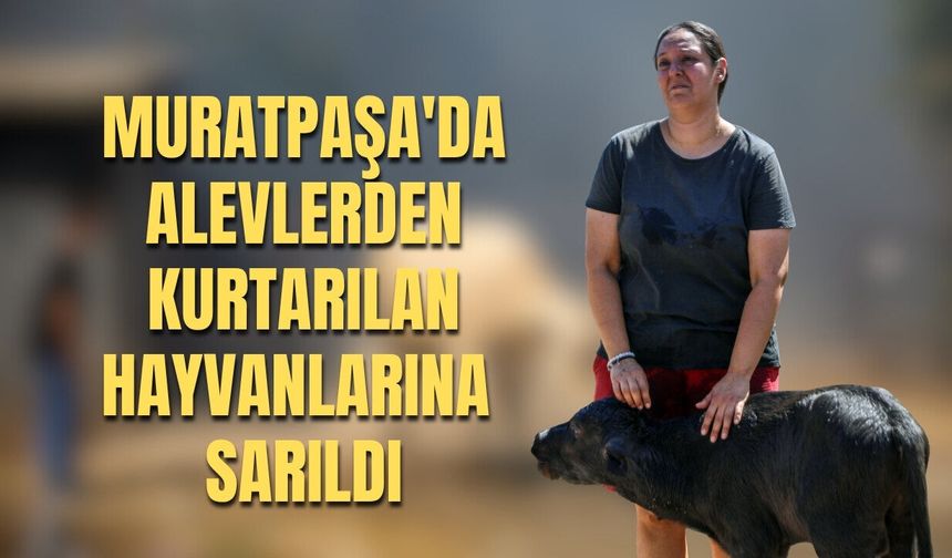Muratpaşa'da alevlerden kurtarılan hayvanlarına sarıldı
