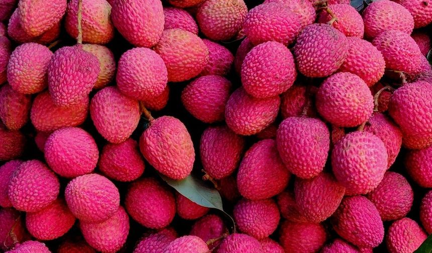 Liçi nedir, tadı nasıldır? Liçi nasıl yenir, nerede yetişir?