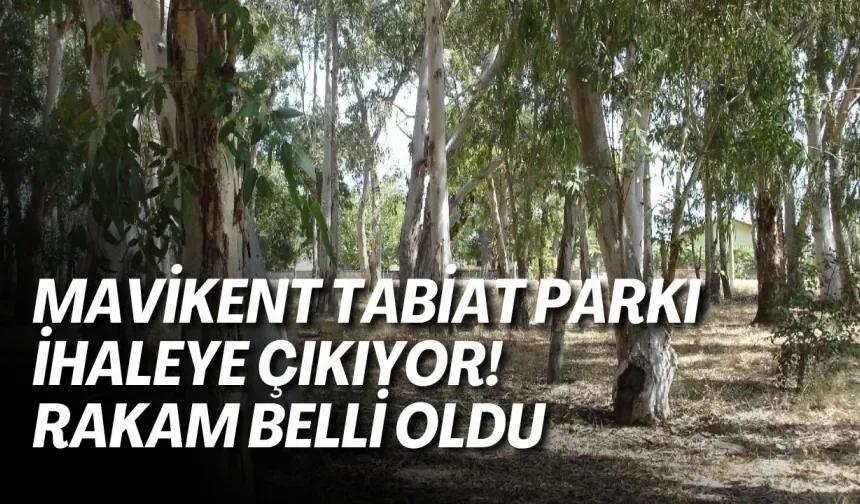 Mavikent Tabiat Parkı ihaleye çıkıyor! Rakam belli oldu