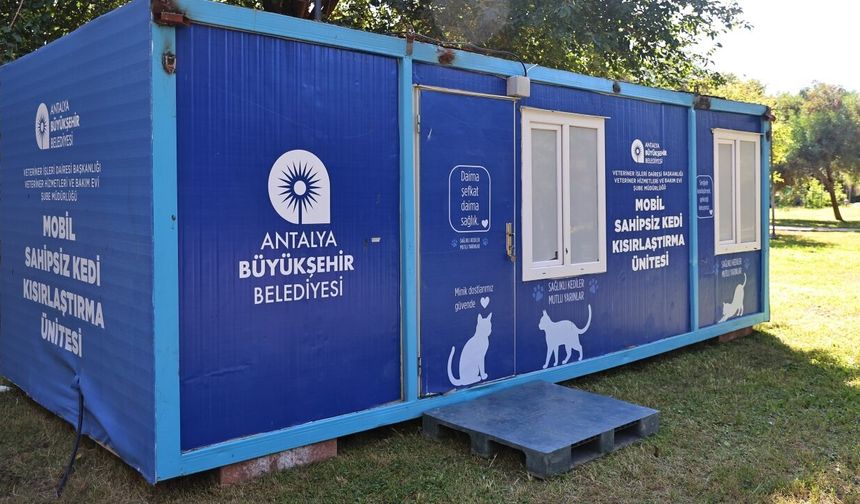 Mobil kedi kısırlaştırma ünitesi Karaalioğlu Parkı’nda