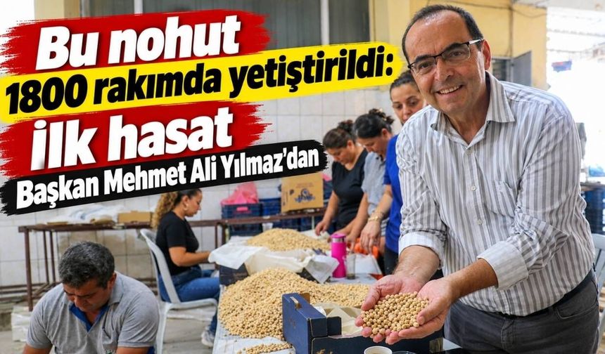 Bu nohut 1800 rakımda yetiştirildi: İlk hasat Başkan Mehmet Ali Yılmaz'dan