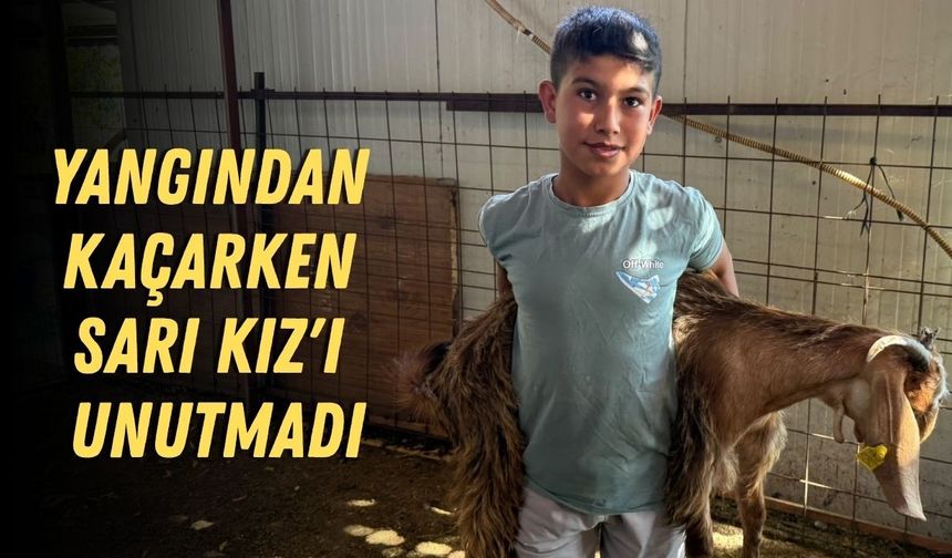 Yangından kaçarken Sarı Kız'ı unutmadı